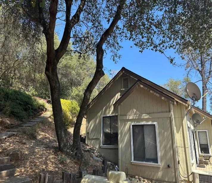 Mature pine tree beside the primary bedroom at a sloped Auburn property