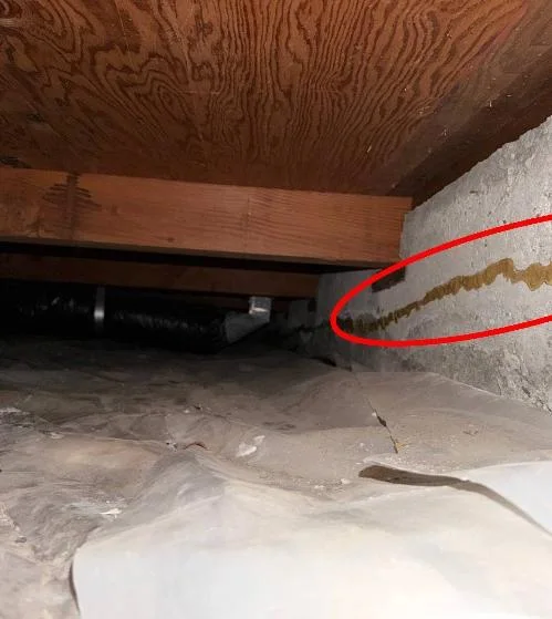 Lifted crawlspace vapor barrier with exposed damp soil and standing moisture below a repaired foundation crack